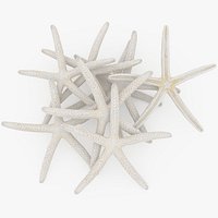 White Finger Starfish