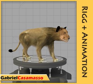 Female Lion