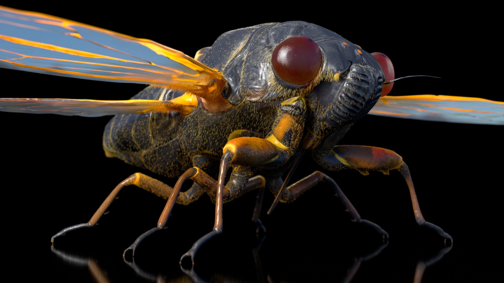 Pharaoh Cicada Fur 3D https://p.turbosquid.com/ts-thumb/CB/KdHgxP/7h/pharaohcicadafur3dsmodel007/jpg/1680478178/1920x1080/fit_q87/9eb843382e9d4b8f9651973efe2228ac37ae82dd/pharaohcicadafur3dsmodel007.jpg