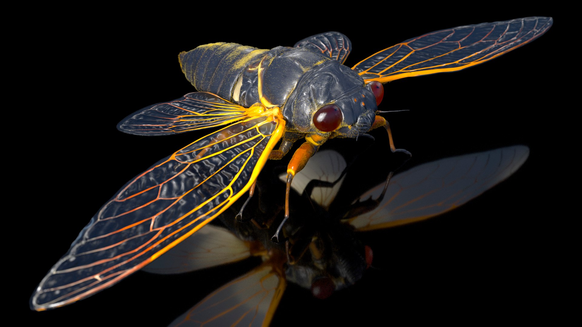 Pharaoh Cicada Fur 3D https://p.turbosquid.com/ts-thumb/CB/KdHgxP/E0/pharaohcicadafur3dsmodel006/jpg/1680478175/1920x1080/fit_q87/e0407d948082ed30626d0806cca4b1af41bce7ac/pharaohcicadafur3dsmodel006.jpg