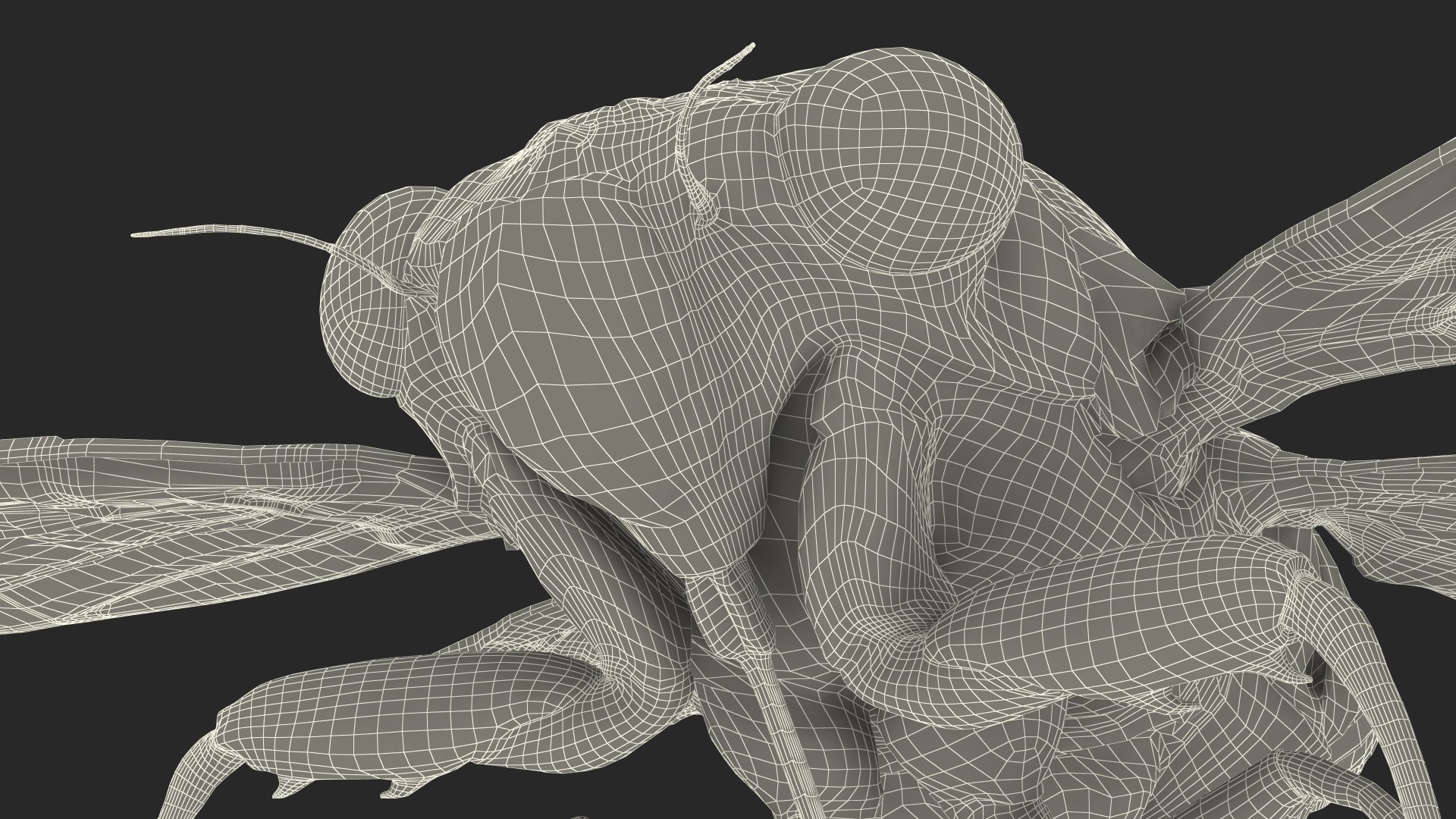 Pharaoh Cicada Fur 3D https://p.turbosquid.com/ts-thumb/CB/KdHgxP/Yi/pharaohcicadafur3dsmodel029/jpg/1680478247/1920x1080/fit_q87/2db4f3a77123dd2fb2500bb63e31f2459fdf2a57/pharaohcicadafur3dsmodel029.jpg