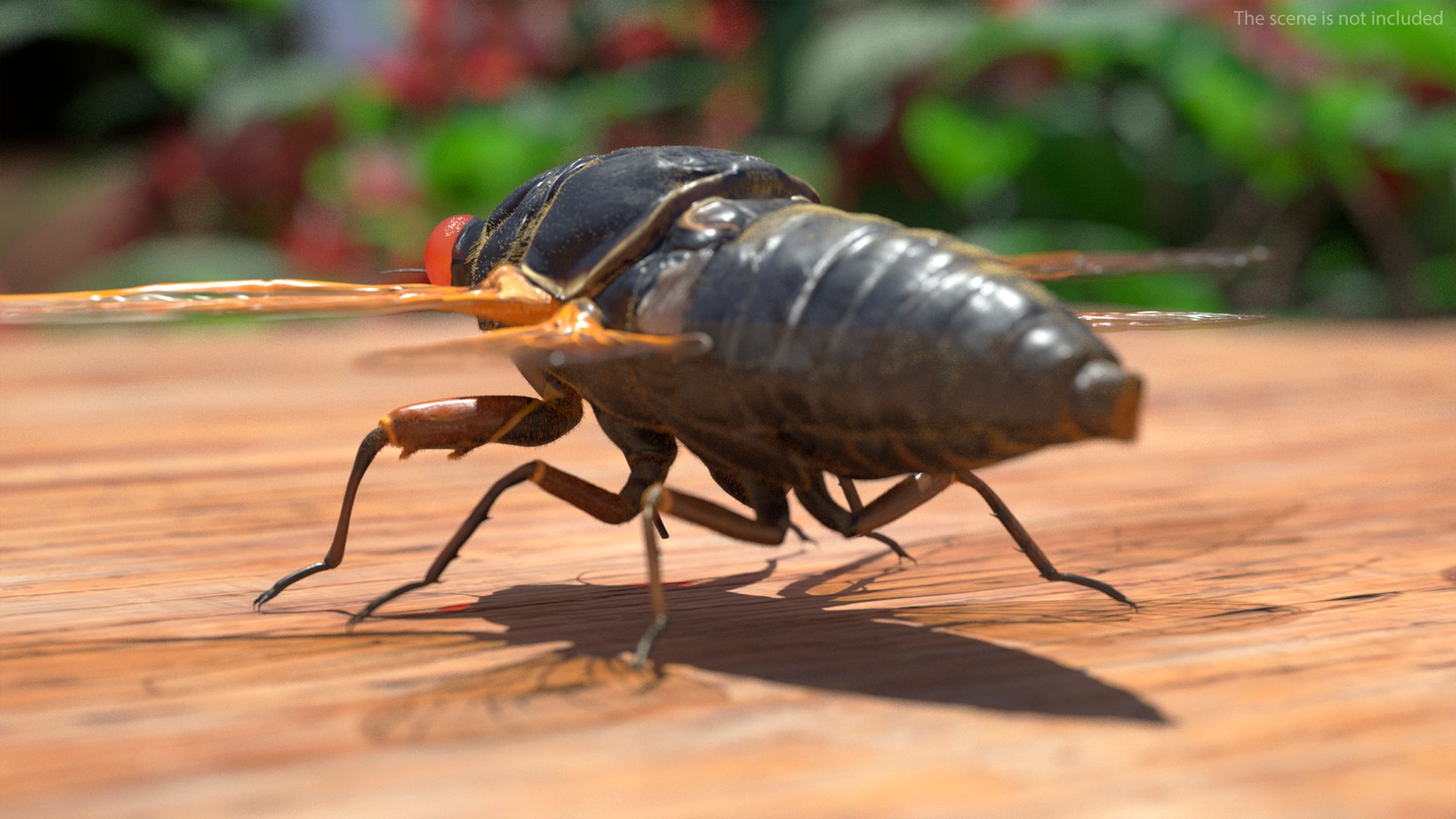 Pharaoh Cicada Fur 3D https://p.turbosquid.com/ts-thumb/CB/KdHgxP/aP/pharaohcicadafur3dsmodel004/jpg/1680478167/1920x1080/fit_q87/be8fd6bff20324ac138f0882658f70e6e8f351cd/pharaohcicadafur3dsmodel004.jpg