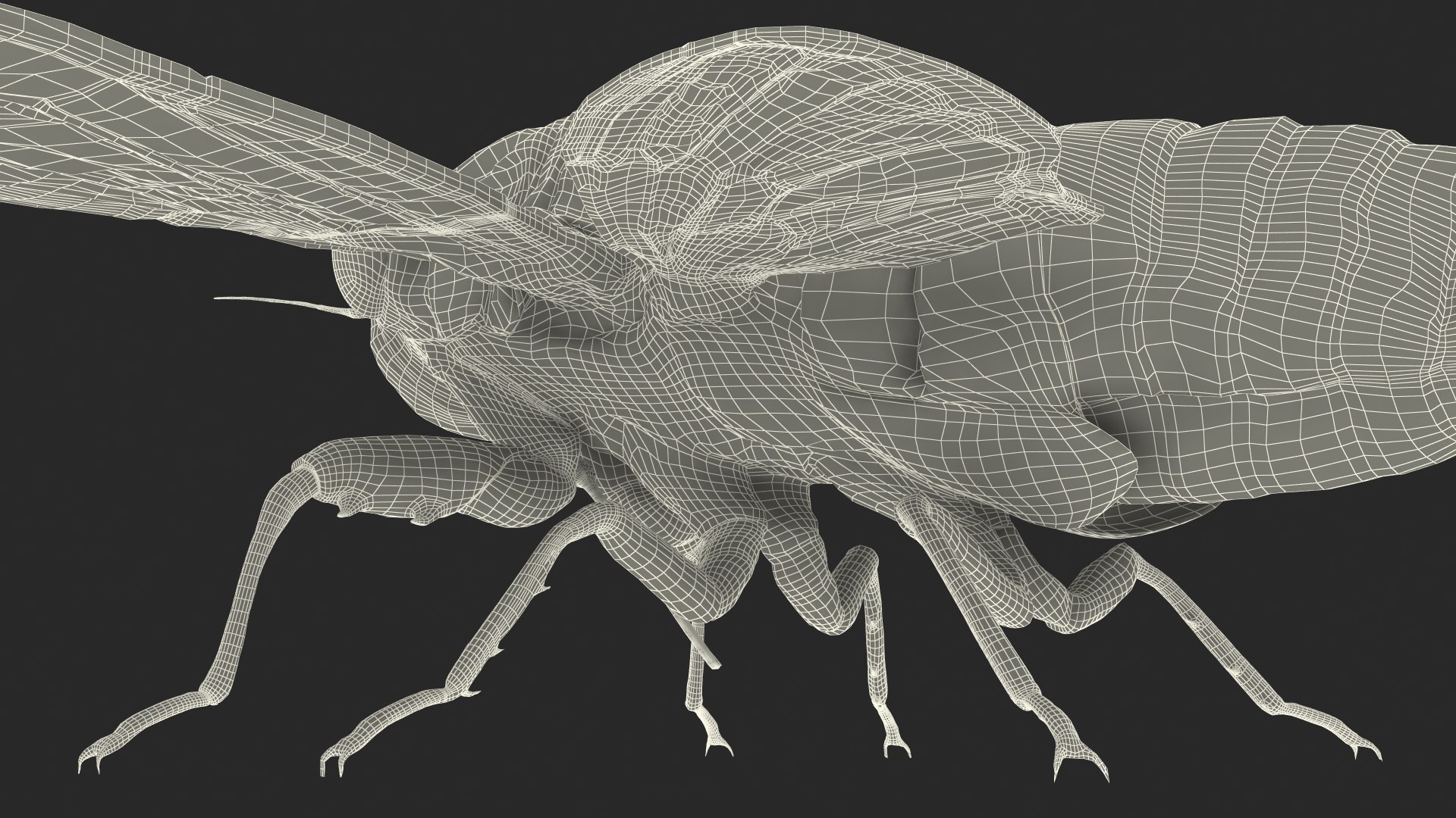Pharaoh Cicada Fur 3D https://p.turbosquid.com/ts-thumb/CB/KdHgxP/hU/pharaohcicadafur3dsmodel028/jpg/1680478244/1920x1080/fit_q87/e8b391699df0c4d75008b9510805e4297395e786/pharaohcicadafur3dsmodel028.jpg
