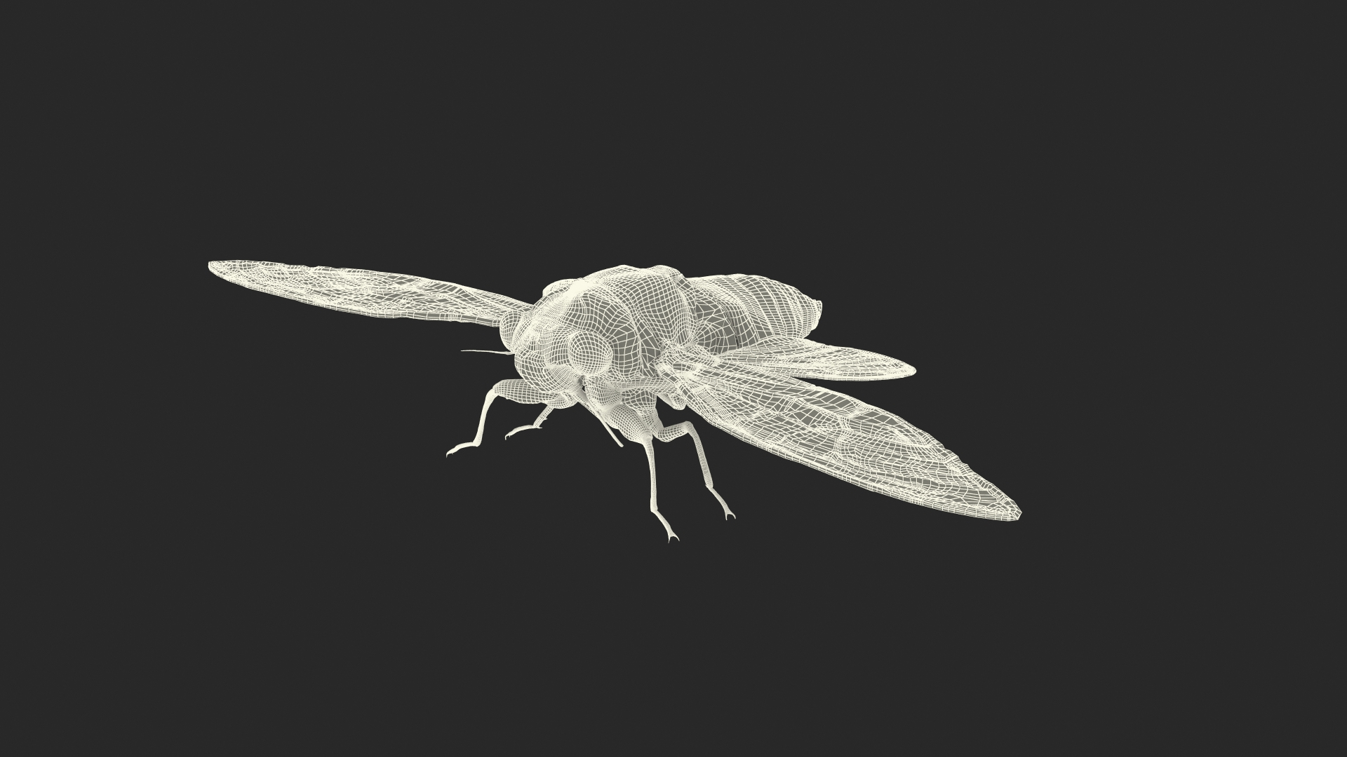 Pharaoh Cicada Fur 3D https://p.turbosquid.com/ts-thumb/CB/KdHgxP/hd/pharaoh_cicada_fur_361/jpg/1680477999/1920x1080/turn_fit_q99/cf042774552fab36dcff87a0f66c0bf89928b8eb/pharaoh_cicada_fur_361-1.jpg