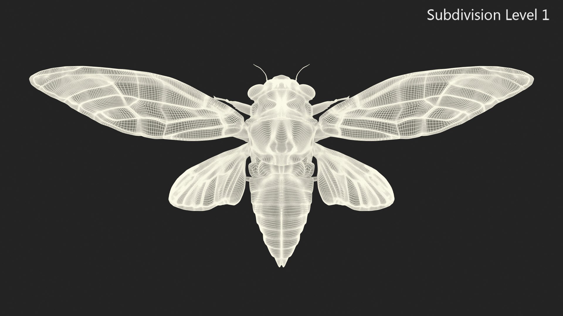 Pharaoh Cicada Fur 3D https://p.turbosquid.com/ts-thumb/CB/KdHgxP/ra/pharaohcicadafur3dsmodel021/jpg/1680478222/1920x1080/fit_q87/9e976f7659b8dae7b11f251635efcc2900651fd1/pharaohcicadafur3dsmodel021.jpg