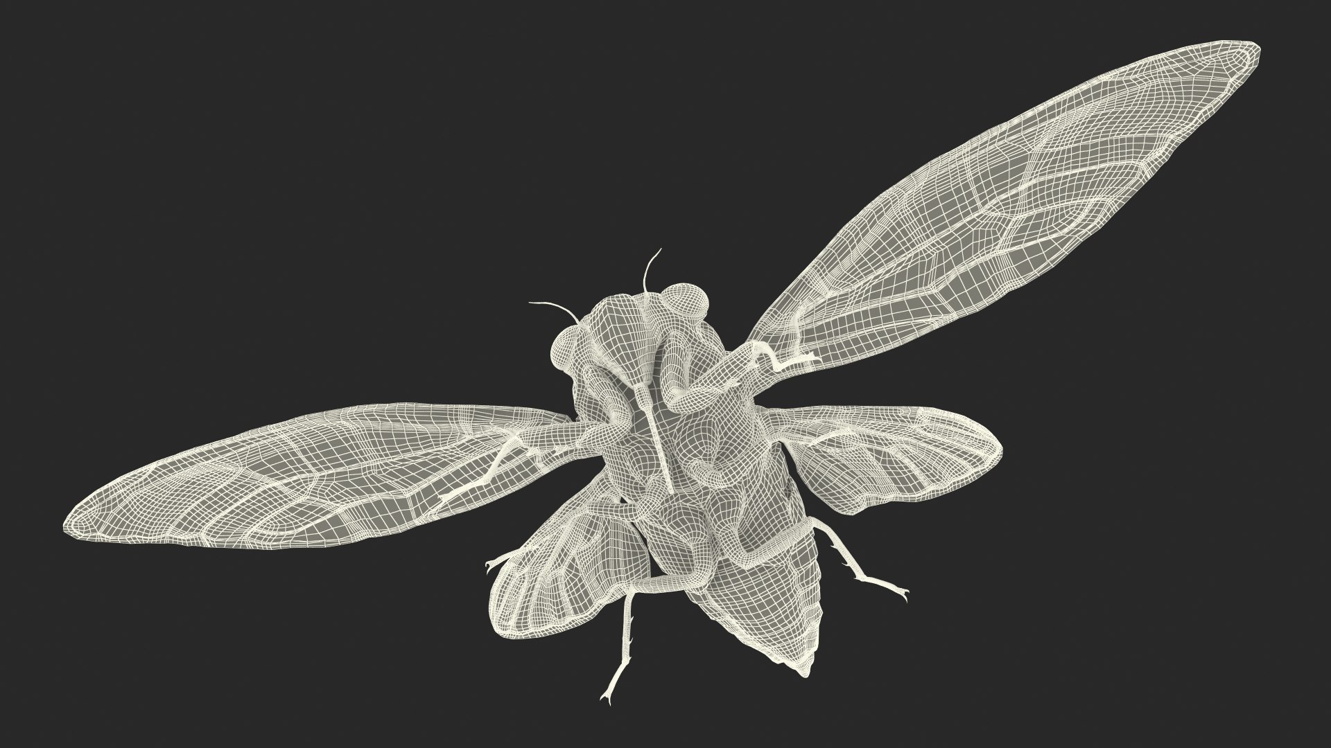 Pharaoh Cicada Fur 3D https://p.turbosquid.com/ts-thumb/CB/KdHgxP/sr/pharaohcicadafur3dsmodel026/jpg/1680478238/1920x1080/fit_q87/2608f4944f78e56a52076c8634ab2a9a8548cf18/pharaohcicadafur3dsmodel026.jpg