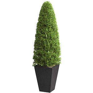 Decorative tree in garden pot RH Front Entrance Doors 3D