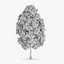 3d horse chestnut trees model