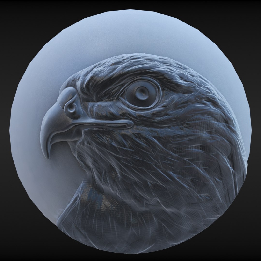 Hawk Coin 3D Model - TurboSquid 1226567