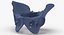Human Male and Female Pelvis and Sacrum Bones White and Yellow - 6 models 3D model