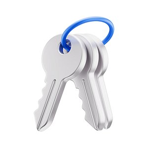 Keys Icon model