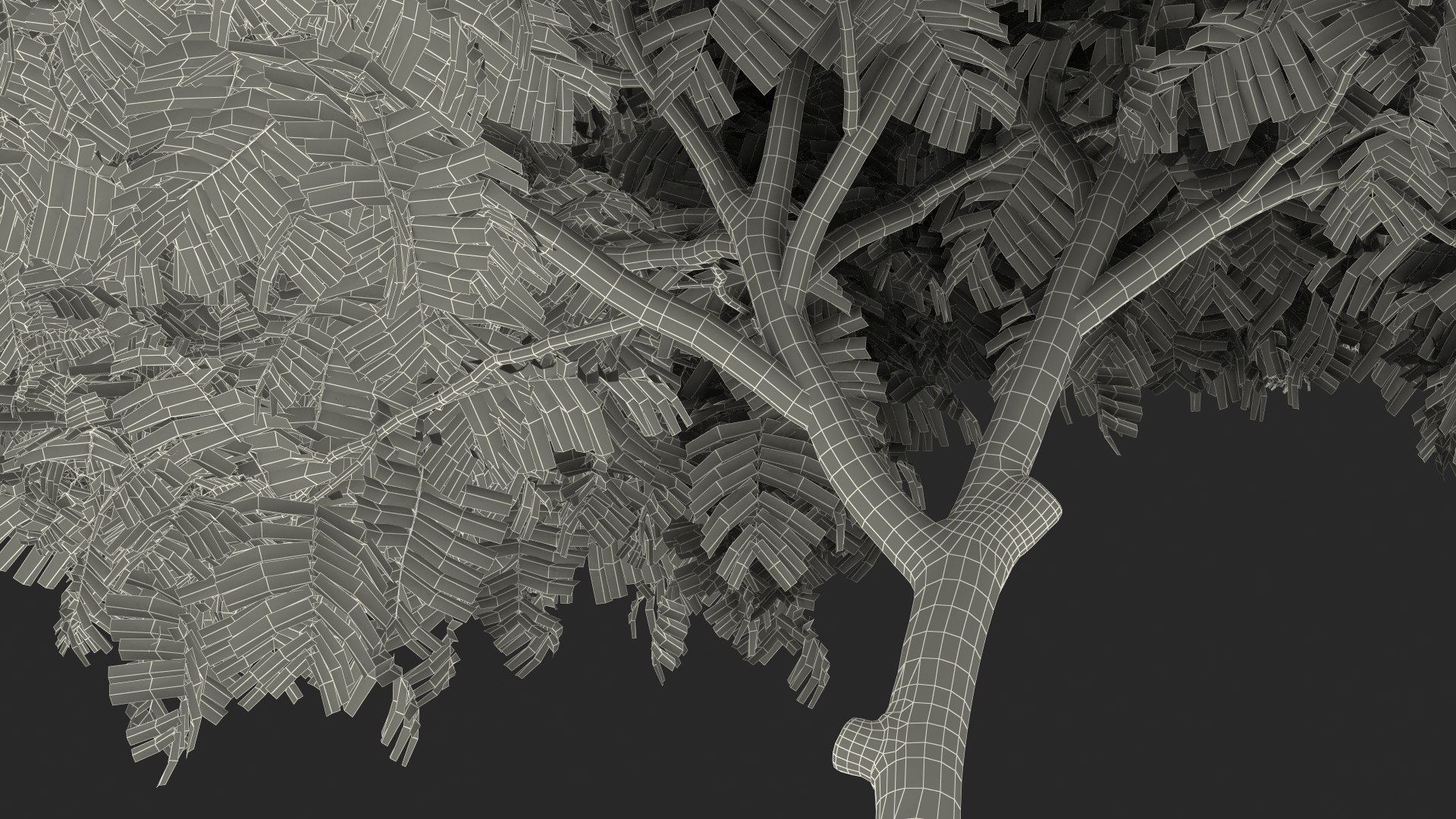 3D Peltophorum Pterocarpum Tree Flowers Model - TurboSquid 1705243