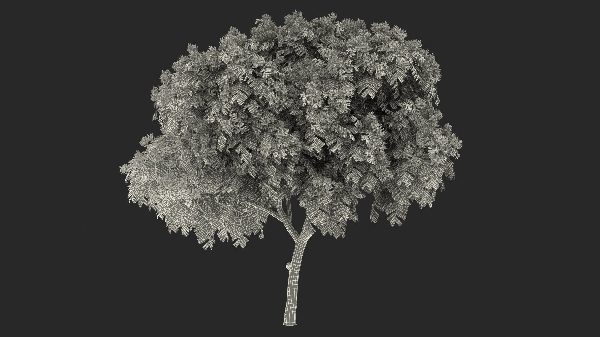 3D Peltophorum Pterocarpum Tree Flowers Model - TurboSquid 1705243