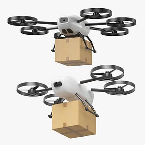 Air Delivery Drone Set 3D