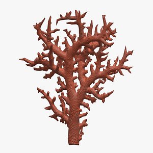 Branch Coral Low Poly 3D model