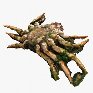 Dead Crab 2