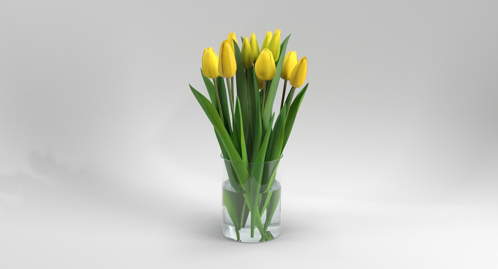 3D tulips https://p.turbosquid.com/ts-thumb/CC/5hnhf1/OHSsORbC/tulips_turntable0000/jpg/1546786746/1920x1080/fit_q87/1a850e5d81ce3d7eed8632f0b49056dbb83b3b29/tulips_turntable0000.jpg