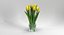 3D tulips