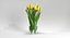 3D tulips