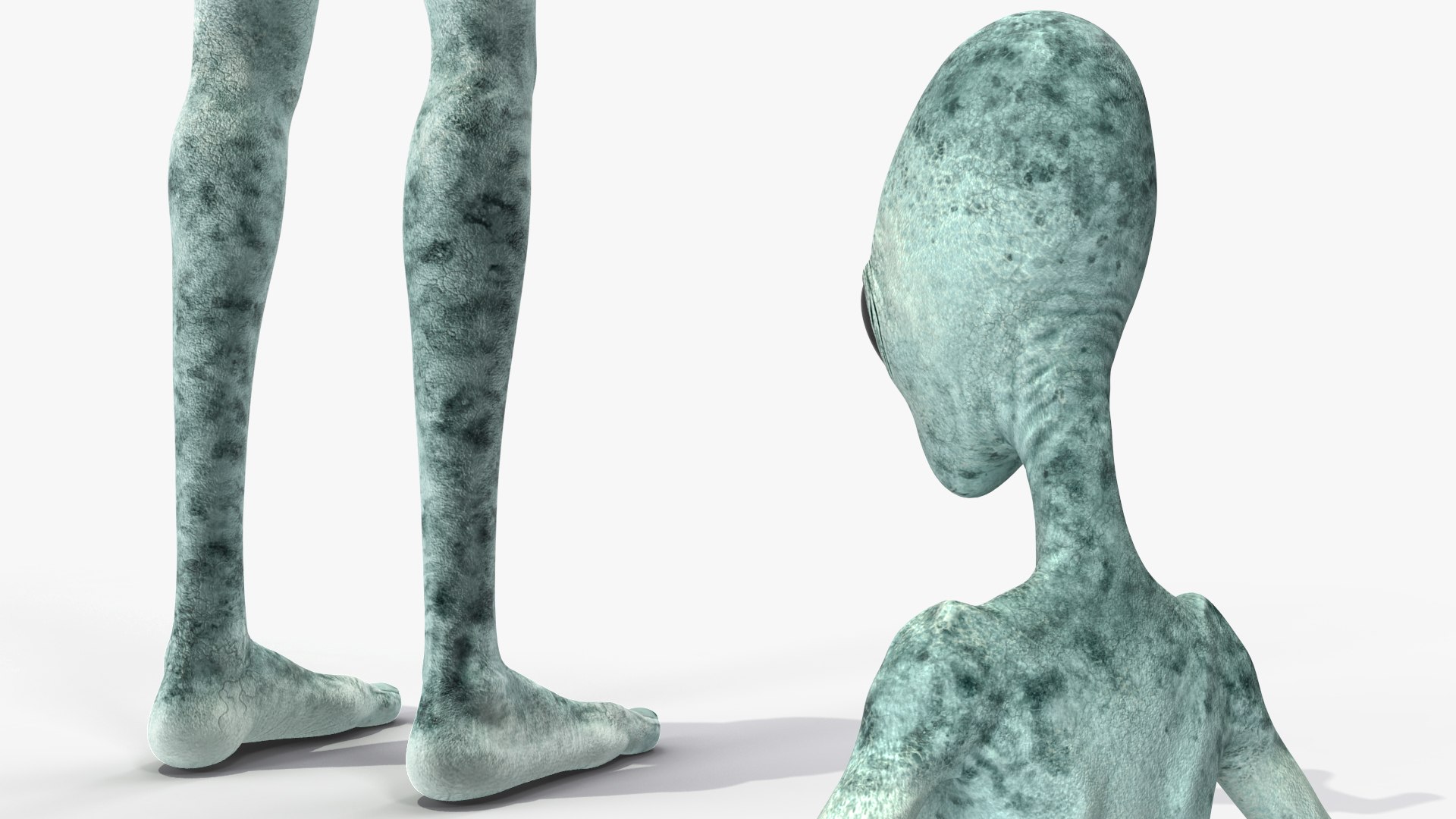 3D Extraterrestrial Alien T Pose - TurboSquid 1628889
