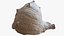Sea Shell 24 Rapana 1M Raw Scan