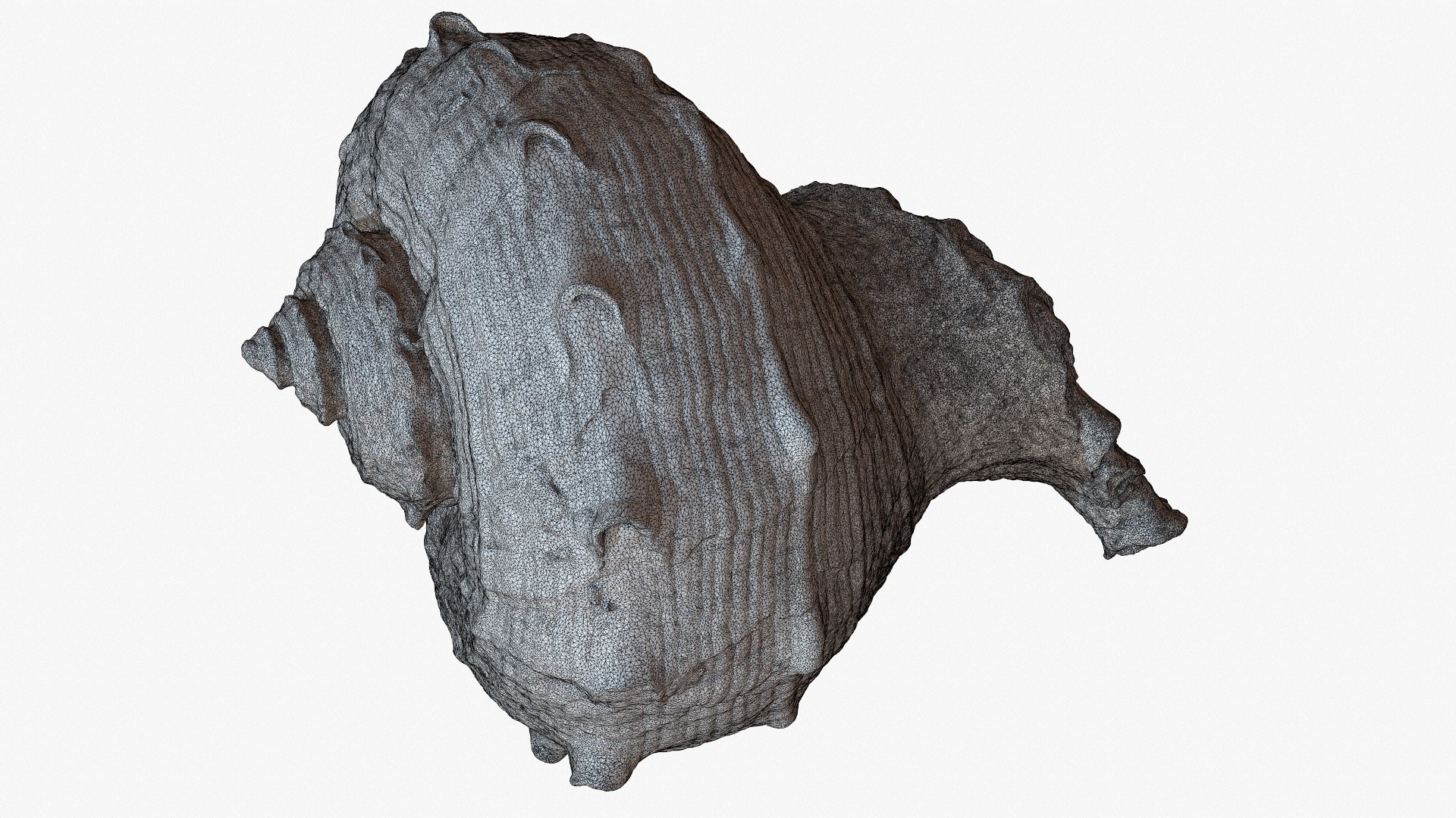 sea shell rapana 1m 3D model https://p.turbosquid.com/ts-thumb/CC/9PBXaG/aP3wkCxk/screenshot008/jpg/1501659604/1920x1080/fit_q87/0d1f444d61c2aab62cf86895bd26315925e925b0/screenshot008.jpg