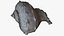 Sea Shell 24 Rapana 1M Raw Scan