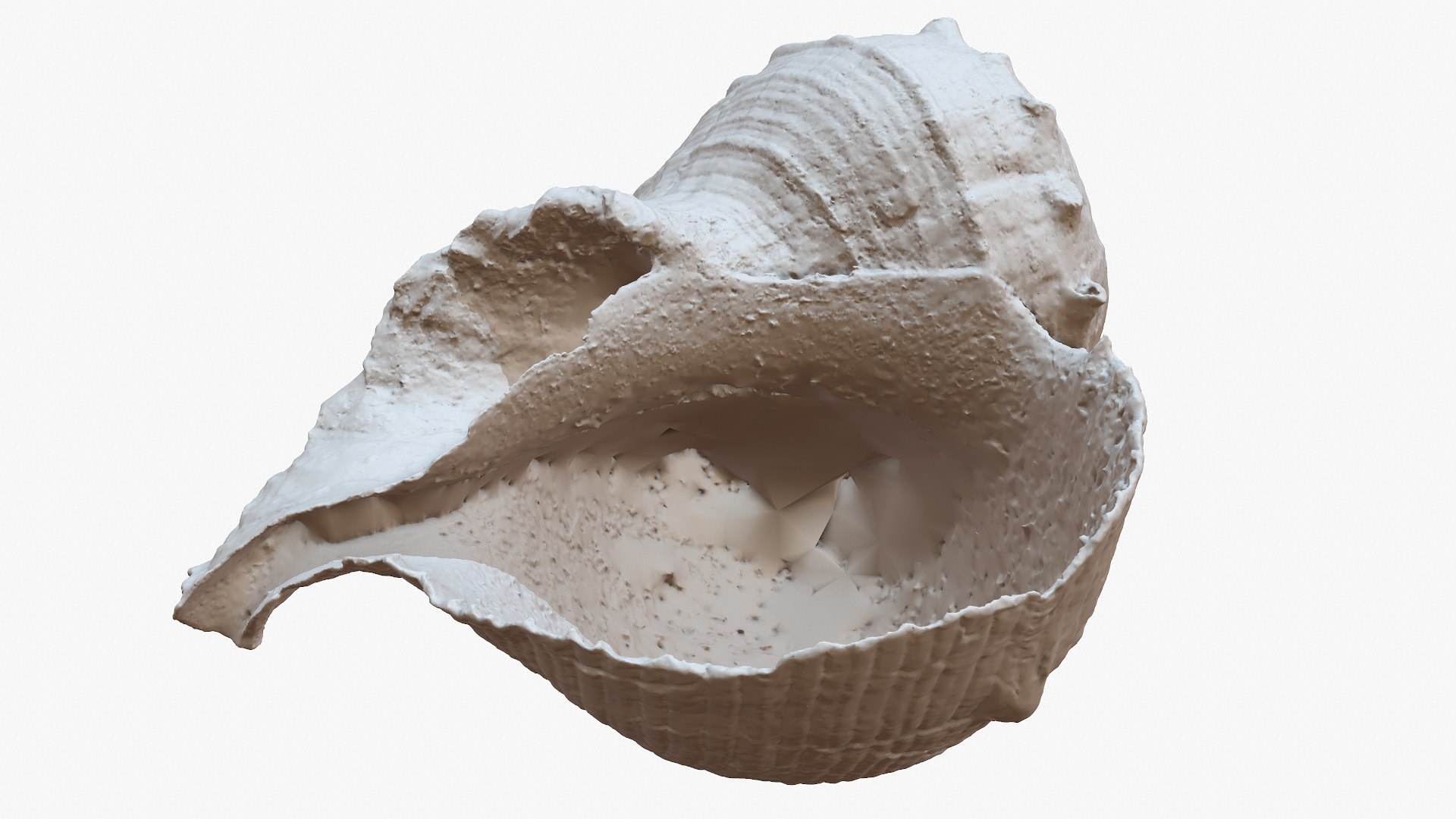 sea shell rapana 1m 3D model https://p.turbosquid.com/ts-thumb/CC/9PBXaG/dO41or8M/screenshot005/jpg/1501659604/1920x1080/fit_q87/0cf373c53caedeedeb903545bbdd83b2587b5149/screenshot005.jpg
