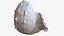 Sea Shell 24 Rapana 1M Raw Scan