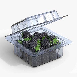 Fruit Box Plastic Transparent Blackberry 3D model