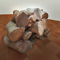 REAL WOOD LOGS