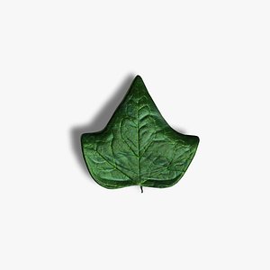 leaf ivy 3ds