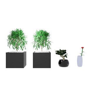 Plants and Pots