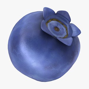 realistic blueberry 3D model