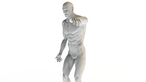 3D Male character