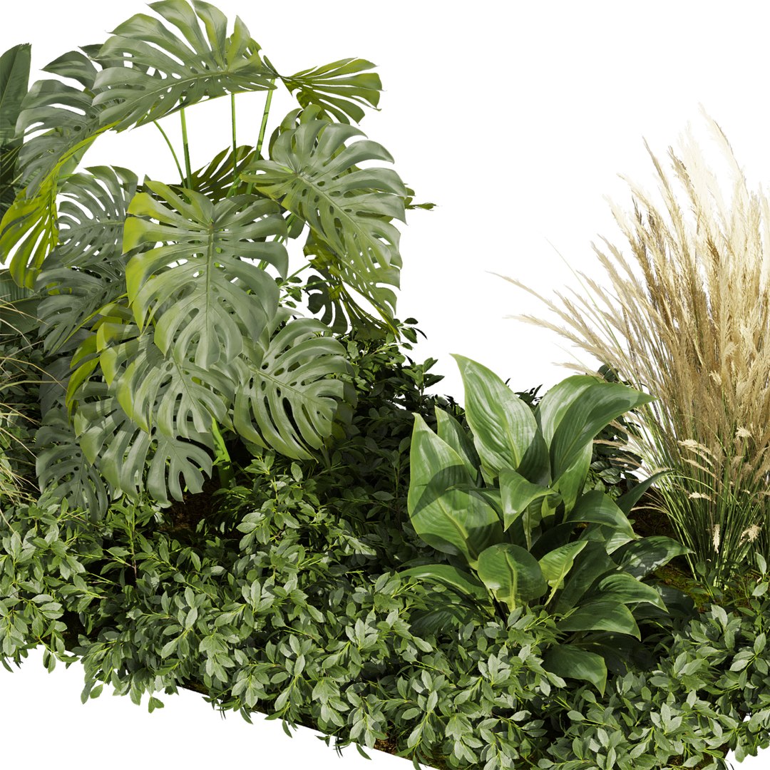 plant vol 934 -  garden - banana - grass - leaf 3D model https://p.turbosquid.com/ts-thumb/CD/YToAgr/13/2/jpg/1783871245/1920x1080/fit_q87/ae70625df103cbcc63cdc750f04d884ad5d9becb/2.jpg