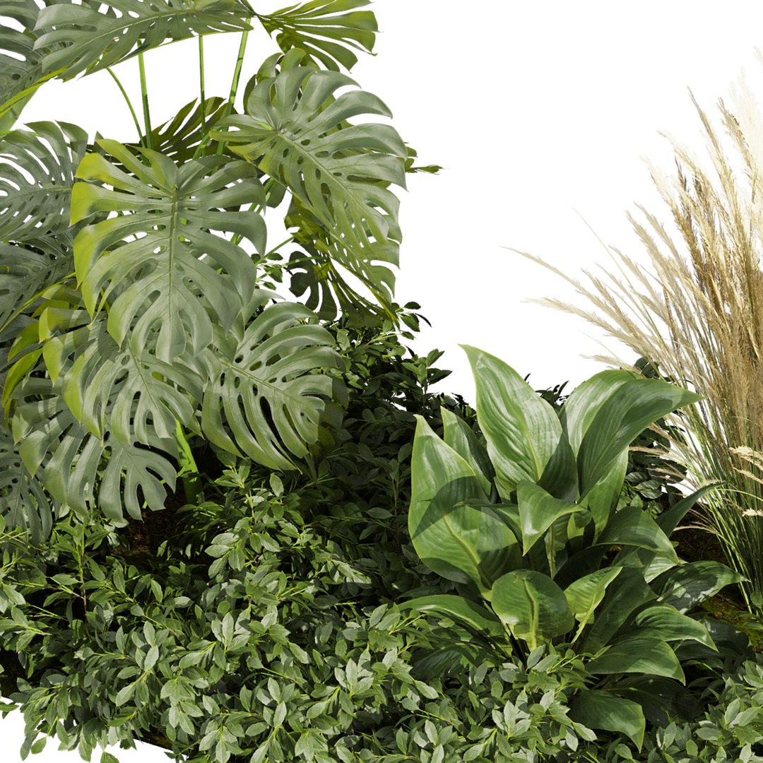 plant vol 934 -  garden - banana - grass - leaf 3D model https://p.turbosquid.com/ts-thumb/CD/YToAgr/fa/5/jpg/1783871246/1920x1080/fit_q87/640e4a9dd3f64202d512790ad0ea3c666f163fc0/5.jpg