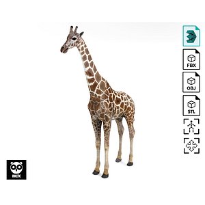 Giraffe - Rigged