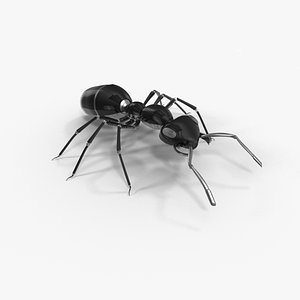robotic ant 3D model