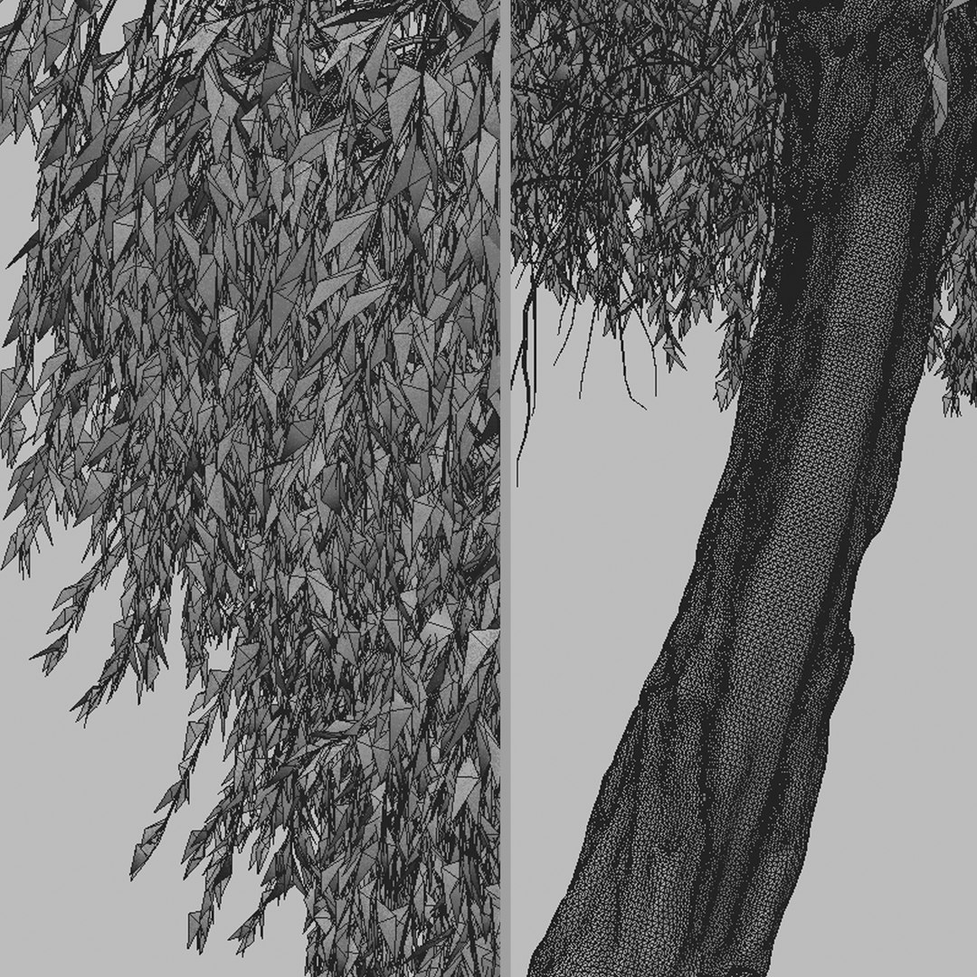 Set of Peppermint Willow or Agonis flexuosa Tree 3D model https://p.turbosquid.com/ts-thumb/CE/4ypuWU/vJ/peppermintwillow7t/jpg/1665083844/1920x1080/fit_q87/39794975a66683c83555de2075eeb870da3c42b3/peppermintwillow7t.jpg