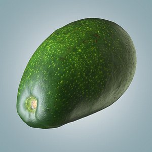 avocado 1 polly 3D