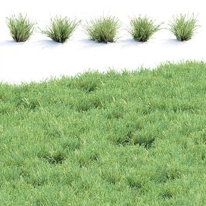 Lowpoly Grass collection vol 174 3D model