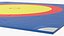 Olympic Wrestling Mat 3D model