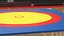 Olympic Wrestling Mat 3D model