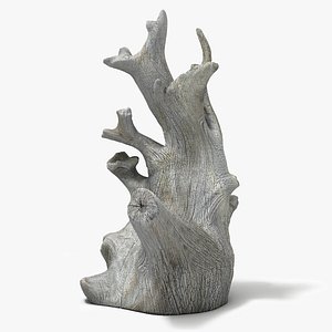 Driftwood