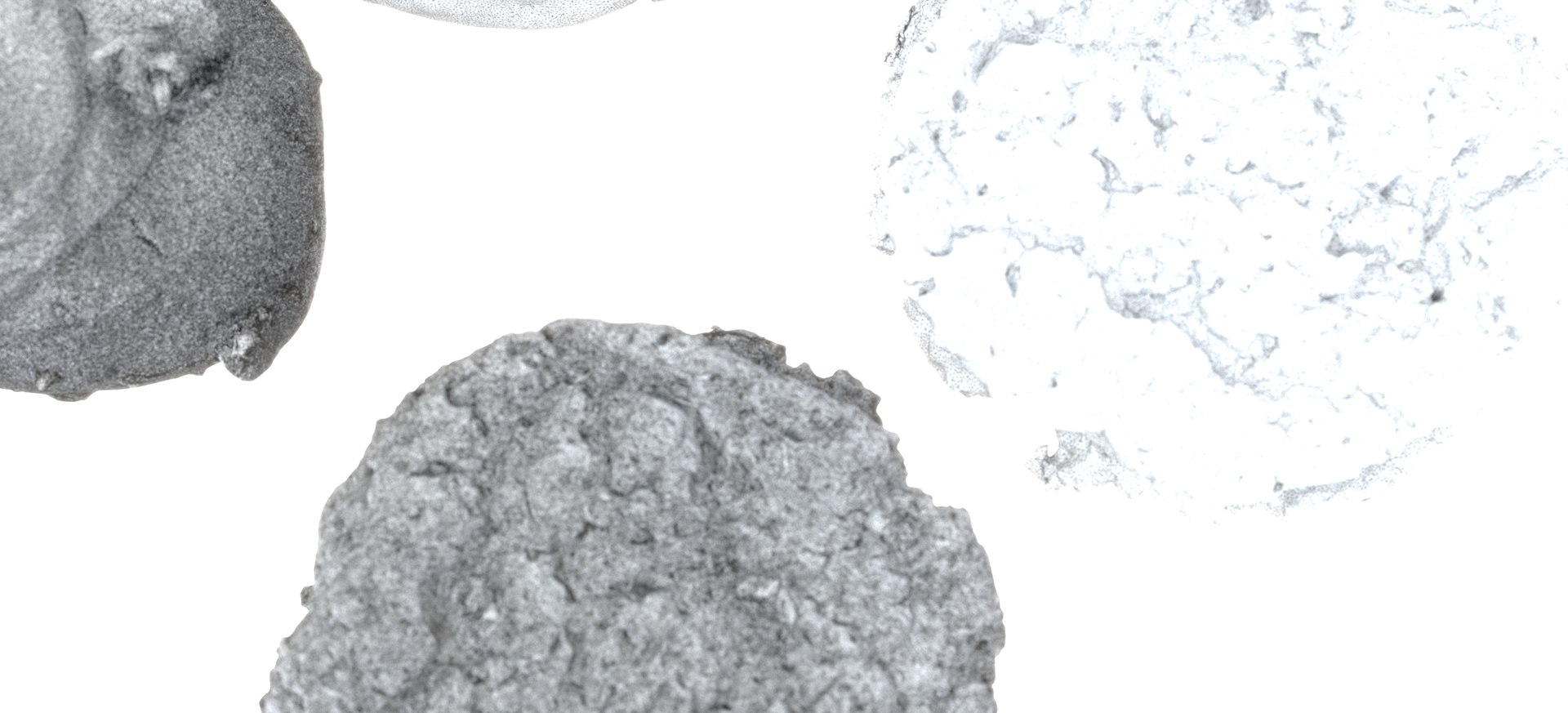 CREME-DE-LA-CREME COOKIES 2020  RAW 3D https://p.turbosquid.com/ts-thumb/CE/SjOedz/1l/cremedelacremecookies2020rawimg0000022/jpg/1664433749/1920x1080/fit_q87/cb324314ab5b4a644c9f7e21c0260449d5f45c7c/cremedelacremecookies2020rawimg0000022.jpg