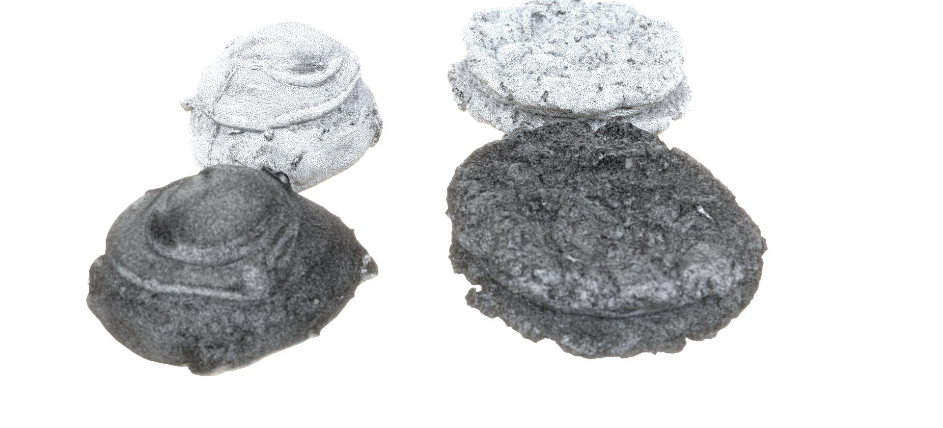 CREME-DE-LA-CREME COOKIES 2020  RAW 3D https://p.turbosquid.com/ts-thumb/CE/SjOedz/Fv/cremedelacremecookies2020rawimg0000010/jpg/1664433814/1920x1080/fit_q87/9c0a6940cf377f4529fa9676f315aa83e2e736fa/cremedelacremecookies2020rawimg0000010.jpg