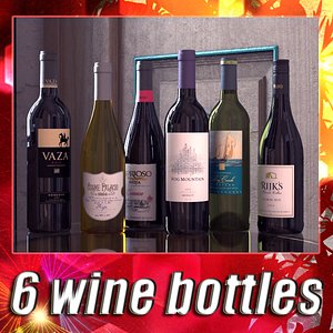 6 wine bottles collections max