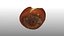 Petit pain de lessive en rouleau de bretzel scanné low poly