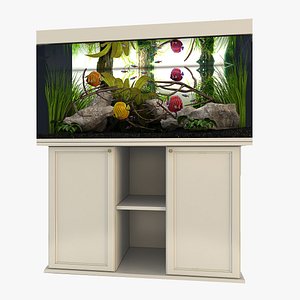 Tropical aquarium